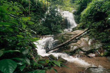 Small waterfall in the natural forest, water source and environmental conservation