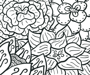Flowers doodle sketch background illustration