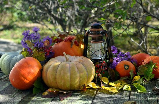 Vintage still life with pumpkins, flowers and decorations outside, thanksgiving day background, autumn calendar season concept