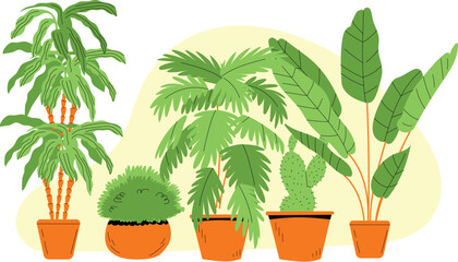 Obraz premium palm tree in a pot