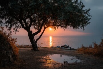 Fototapeta premium Serene sunset over a tranquil body of water framed by a solitary tree, creating a peaceful atmosphere at dusk