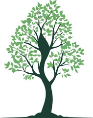 green tree isolated on white background