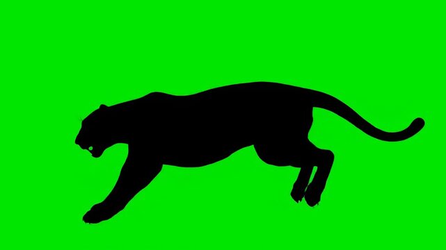 silhouette of a lion