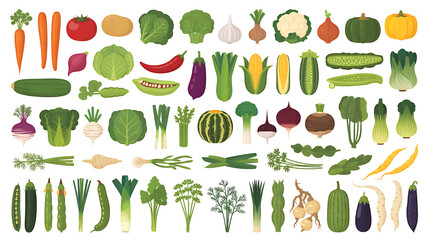 Vibrant assortment of fresh raw vegetables and produce arranged in rows on a white background