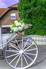 Die filigranen Speichen der Räder, die klassische Eleganz, und dann dieser frische, üppige...