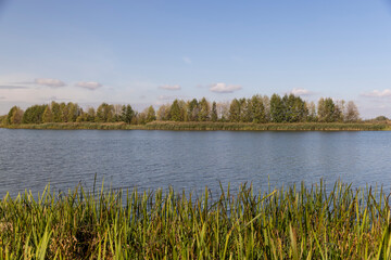 the yellowing deciduous trees and the river in the autumn season, the river and the trees on the shore in the autumn season