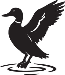 Silhouette of a mallard duck taking flight isolated on white background