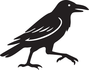 Black silhouette of a crow standing on a white background isolated on white background
