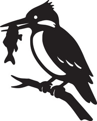 Silhouette of a kingfisher bird holding a fish perched on a branch isolated on white background