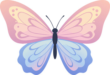 Colorful Flat Vector Butterfly Illustration