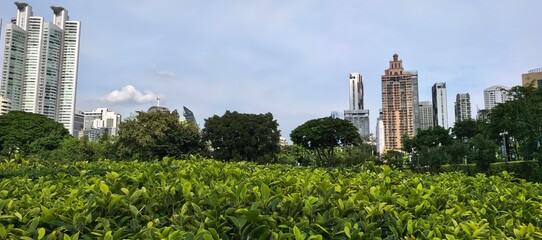 Cityscape view with lush greenery and modern skyscrapers under a cloudy sky.