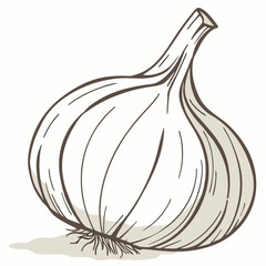 Allium Sativum: A detailed monochrome illustration of a single garlic bulb, showcasing its intricate layers and natural form, conveying a sense of culinary artistry and organic purity.