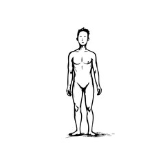 Sketch of a lean male figure standing tall with subtle shading and minimalist detail expressing