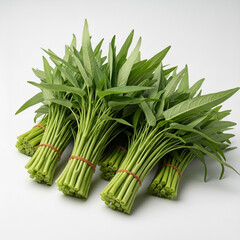 Fresh Thai water spinach bundles with long green stems and pointed leaves—neatly tied and displayed on a clean white background