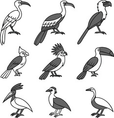Exotic tropical birds collection vector illustration set of colorful wild bird species isolated design.