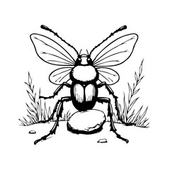 Stylized beetle illustration with detailed wings legs and antennae standing amidst wild grass