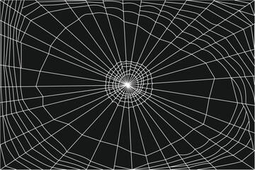 Spider web black background - halloween theme dark background