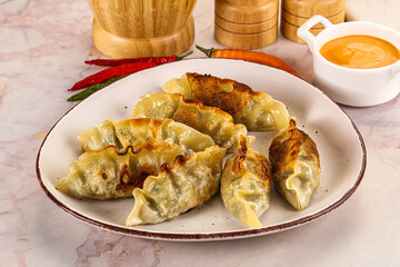 Japanese fried Gyoza stuffed dumplings