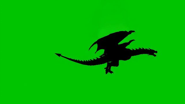 vector illustration of a dragon