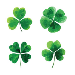 Four leaf clover illustration set on white background