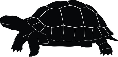 Silhouette of tortoise vector illustration, black turtle clipart design, isolated reptile animal graphic for wildlife, nature, and educational themed artworks