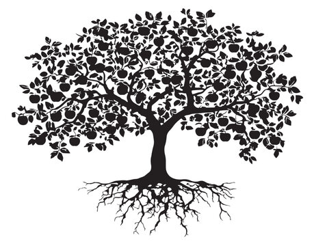 Apple Tree With Root System Silhouette Vector Illustration Art
