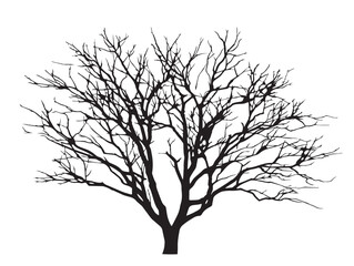 Naklejka premium Winter Bare Branch Tree Silhouette in a Clean Vector Format