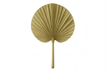 Dried palm leaf fan creating a tropical, natural and exotic atmosphere. Perfect element for home and event decoration