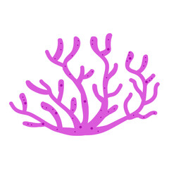 Obraz premium Coaral Nature Aquatic
