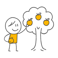 A Time of Productive Harvest The Pleasant Moment of Picking Ripe Fruit from the Tree in the Garden.