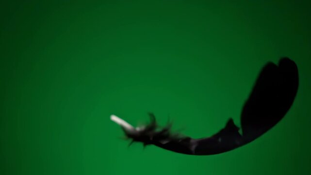 green caterpillar on black background