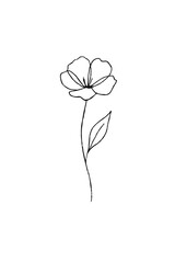 Obraz premium vector illustration of rose