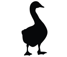 Black silhouette of a goose standing on white bird