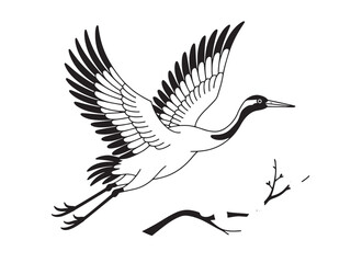 Elegant crane in flight with cherry blossoms isolated on white background