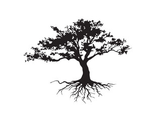 Strong Coastal Tree with Visible Root Structure in Solid Black
