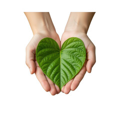 Hands Holding a Green HeartShaped Leaf Symbolizing Nature Conservation and Environmental Care on Black Background