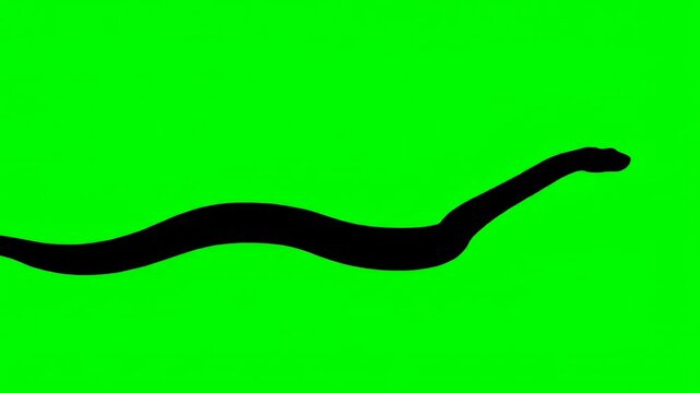 tobacco pipe vector illustration