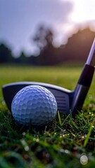 Up Close Golf Ball and Club on Green Grass Ready to Tee Off