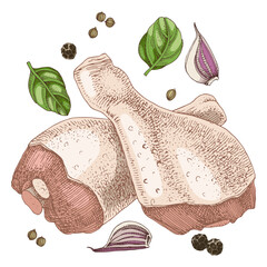 Raw chicken legs fresh meat vector