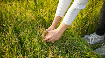 Girl picking up grass on a meadow.