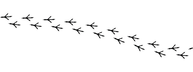 Сhicken trail, bird tracks footprints, path isolated, paw print, animal tracks. Paws, chicken tracks, diagonal path of chicken tracks, vector black silhouettes. Scatter seamless pattern in eps 10.