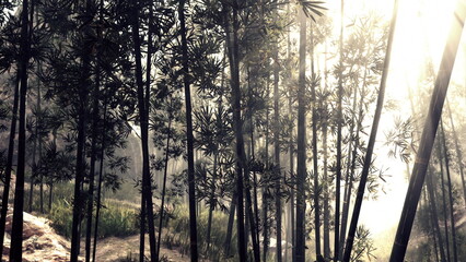 In a tranquil bamboo forest, soft light streams through the tall stalks, illuminating the greenery. Morning mist lingers, enhancing the peaceful vibe of natures beauty at dawn.