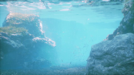 Obraz premium Beneath the surface, gentle waves shimmer as sunlight filters through clear blue water. Rocks create a captivating landscape, while small fish dart playfully among the stones.