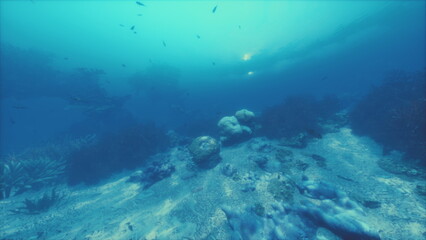 A serene underwater scene reveals a diverse marine ecosystem with colorful coral formations and various fish swimming gracefully in the soft light filtering from above.