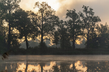 Mglisty poranek nad wodą jesienią.  © Elżbieta Kaps
