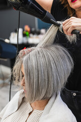 Fototapeta premium Professional hairdresser working on a woman's grey hair, blow drying and styling it with a brush in a beauty salon