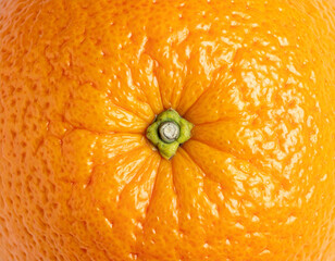 Orange citrus fruit closeup detail
