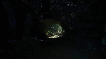 Fototapeta premium A dark cave opens to a vibrant wilderness, where rays of sunlight illuminate the lush plants and trees. The contrast between shadows and light creates an enchanting atmosphere.