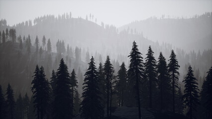 Dense trees stand tall against a hazy backdrop of rolling mountains, enveloped in soft mist. The atmosphere feels serene and tranquil, perfect for reflection and nature appreciation.
