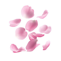 Delicate Pink Flower Petals Floating isolated on transparent background.